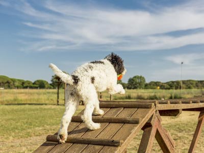 Gitavillage Club degli Amici - Montalto di Castro - Pescia Romana