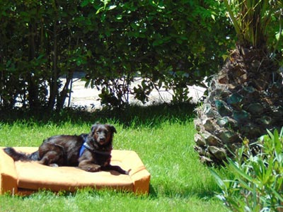 Argentario Osa Resort - Talamone