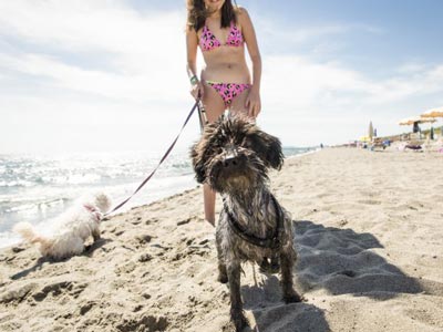 Gitavillage Le Marze - Marina di Grosseto