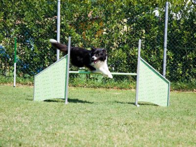 Numana Blu Resort | Sport • Fun • Kids - Numana - Sirolo