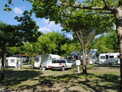 Camping Dal Pino - Marina di Massa