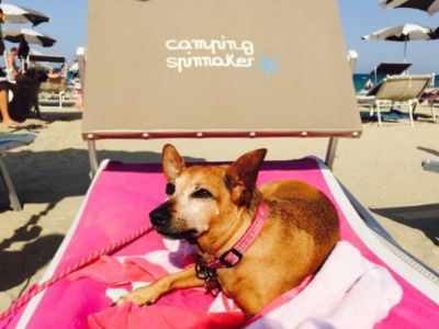 Centro Vacanze Camping Spinnaker - Porto San Giorgio