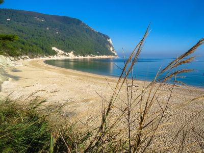 Green Garden Camping Village - Numana - Sirolo