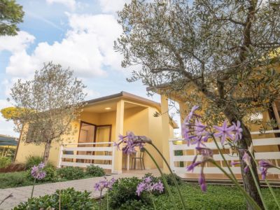 Hawaii Camping Internazionale - Albinia