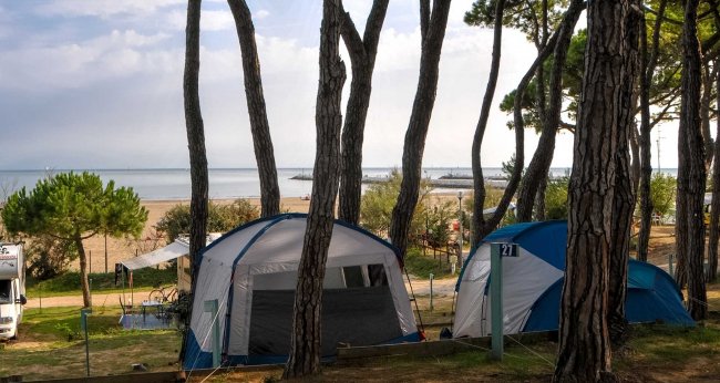 Tende da campeggio tra gli alberi vicino alla spiaggia.