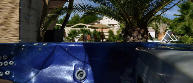 Jacuzzi blu all'aperto con palme sullo sfondo.