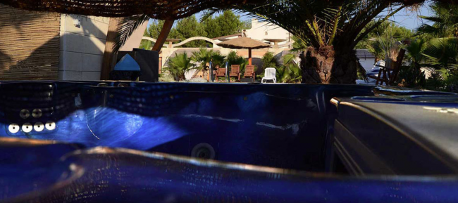 Vista di una vasca blu in un giardino.