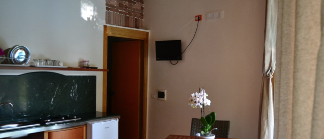 Cucina con TV e pianta su tavolo.