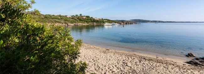 Spiaggia sabbiosa con cespugli e mare calmo.
