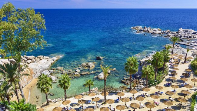 Spiaggia con palme e mare blu.