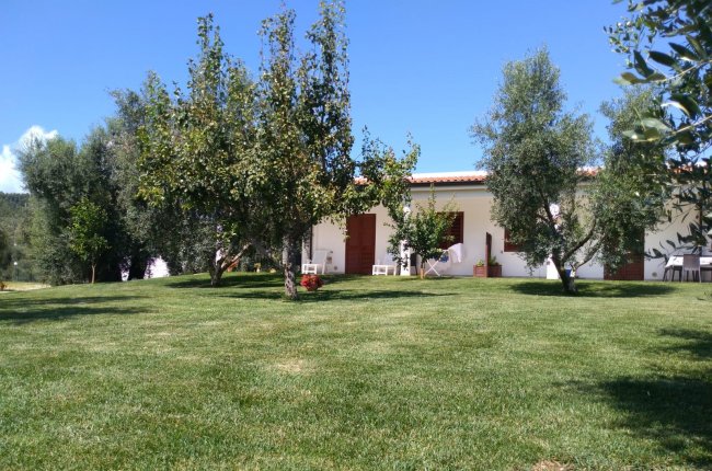 Prato verde con alberi davanti a una casa bianca.