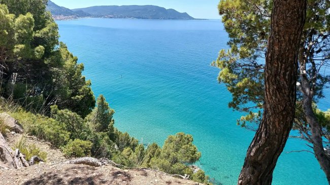 Scogliera con vista mare e alberi.