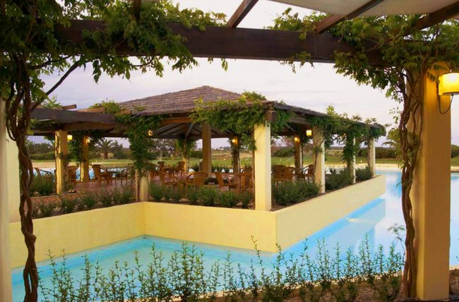 Terrazza coperta vicino a una piscina con rampicanti.