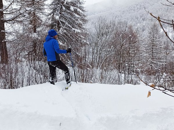 Persona in abiti invernali su neve tra alberi.