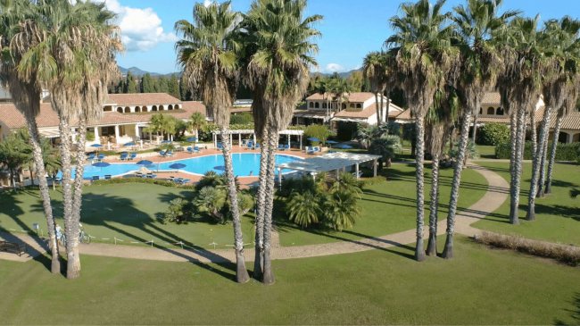 Piscina circondata da palme in un resort.