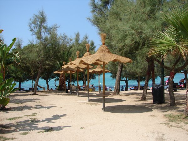 Spiaggia con ombrelloni di paglia, alberi e vista sul mare azzurro.