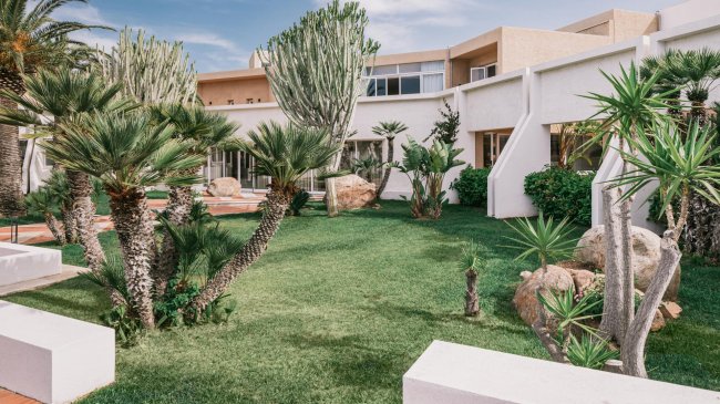 Giardino con palme e cactus vicino a un edificio moderno.