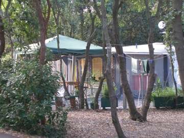 Area campeggio tra alberi.