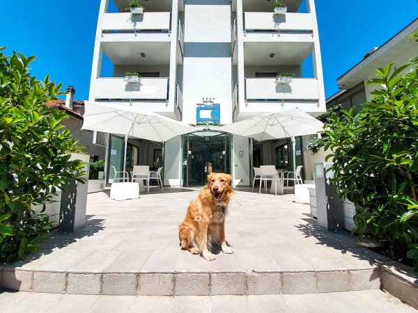 Cane seduto davanti a un hotel moderno.