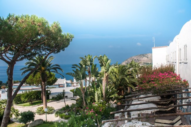 Giardino con palme e vista sul mare.