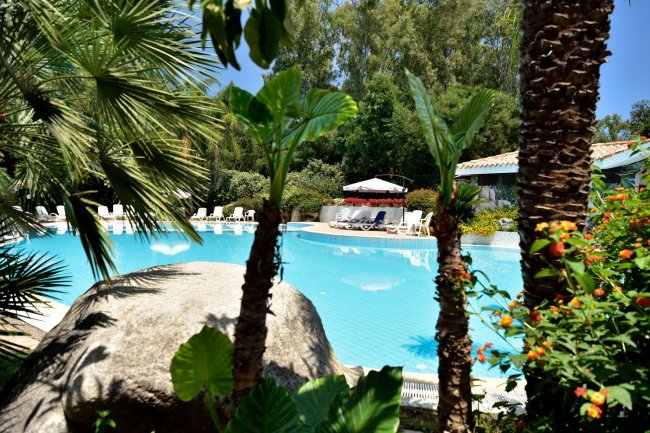 Piscina con palme e sedie a sdraio.