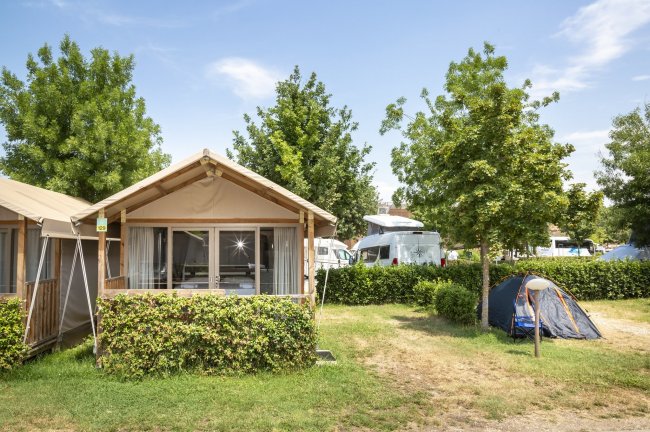 Tenda e chalet in un campeggio verde.