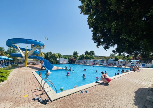 Piscina con scivolo acquatico e alberi vicini.
