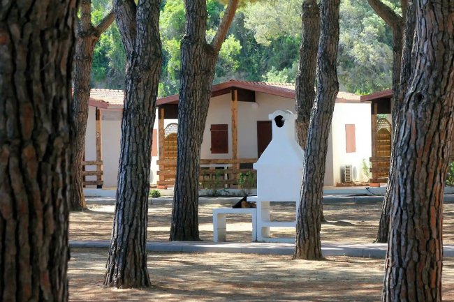 Bungalow tra alberi in un camping.