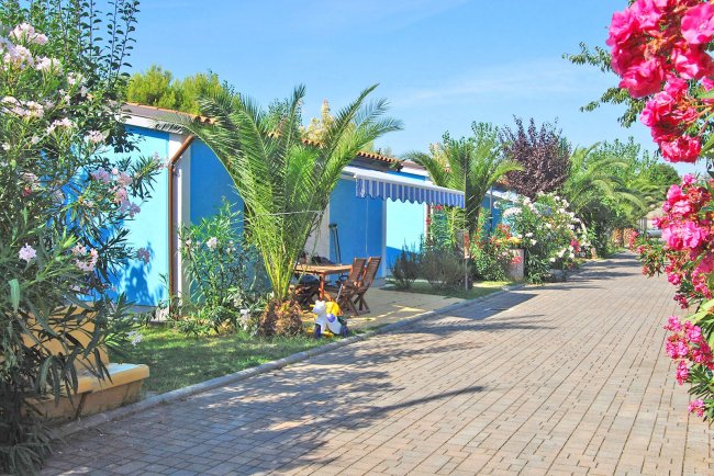 Viale con case blu, fiori e palme.