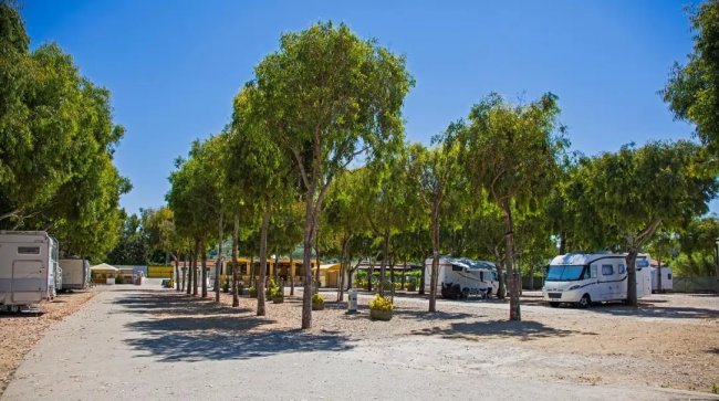 Piazzole per camper all'ombra degli alberi.