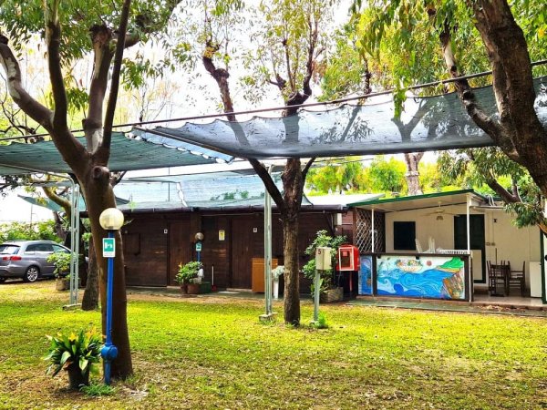 Area esterna con strutture in legno e alberi.