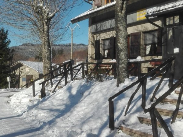 Stradina innevata con casa e alberi.