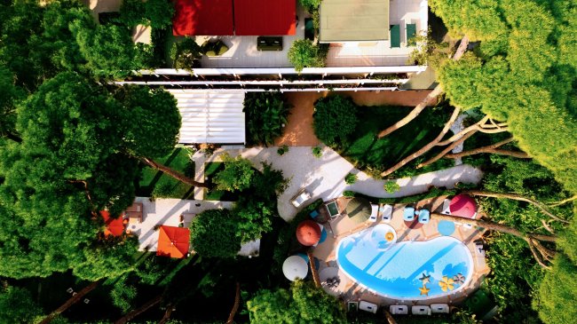 Vista dall'alto di un giardino con piscina e alberi.