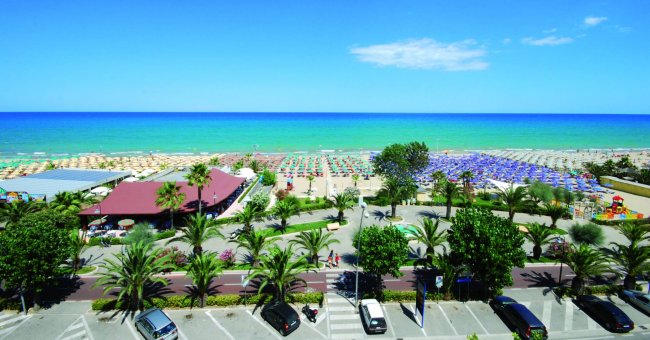 Spiaggia con ombrelloni e palme.