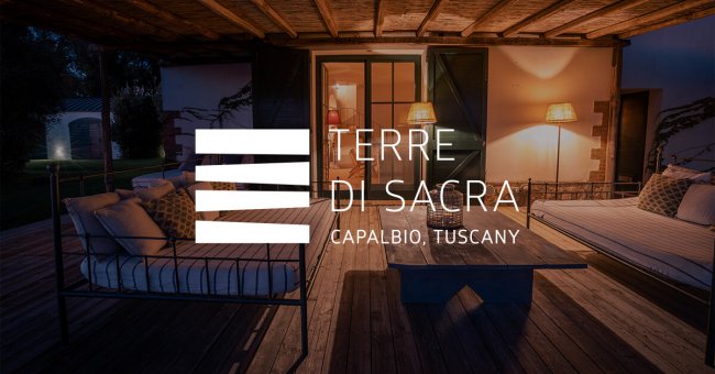 Terrazza arredata con divani e luci soffuse.