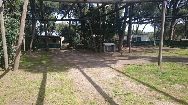 Area campeggio con roulotte e alberi alti.