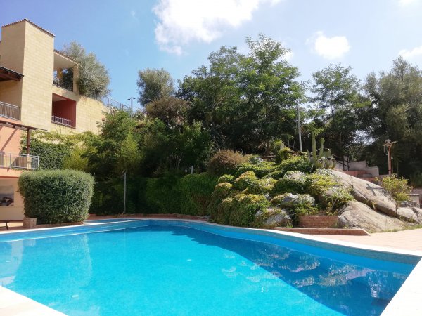 Piscina all'aperto circondata da vegetazione.