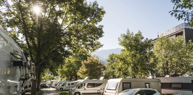 Camper parcheggiati tra alberi in un'area verde.