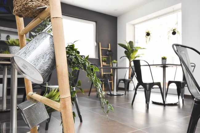 Sala da pranzo con sedie nere e piante decorative.