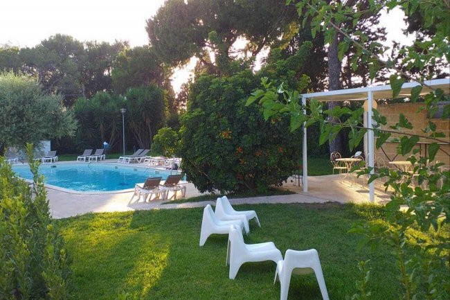 Piscina circondata da lettini e verde.