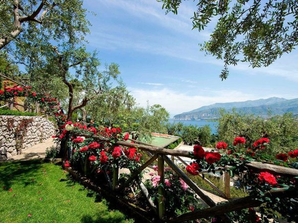 Giardino con rose e vista mare.