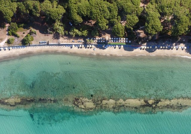 Vista aerea di una spiaggia con acqua cristallina.<br>