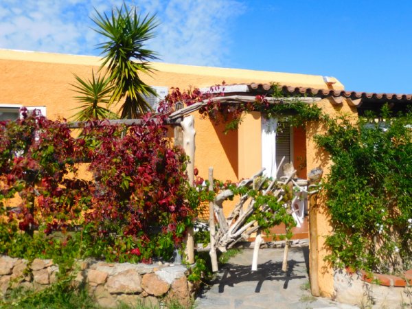 Casa arancione con piante rampicanti.