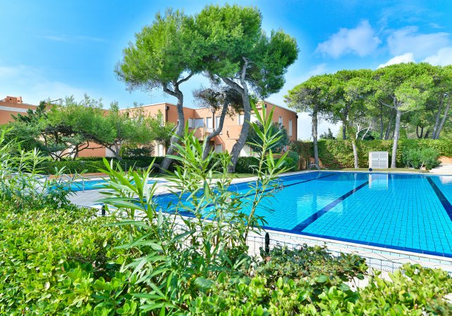 Piscina all'aperto con alberi sullo sfondo.