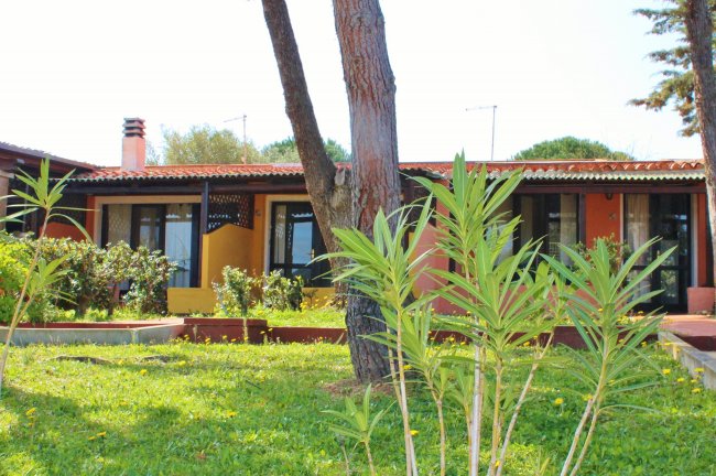 Casa colorata con giardino davanti e albero alto sullo sfondo.
