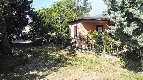 Piccola casetta circondata da alberi e giardino.