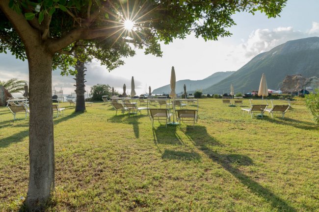 Prato con sedie a sdraio sotto alberi e sole.
