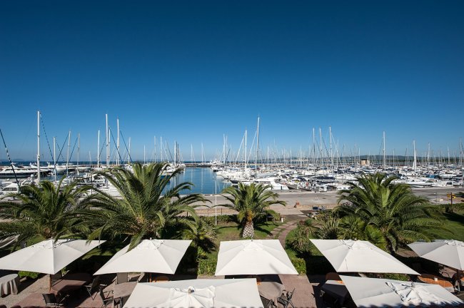 Vista su un porto turistico con barche a vela e palme.