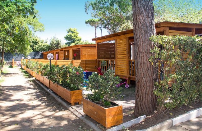 Bungalow in legno con piante e giochi.