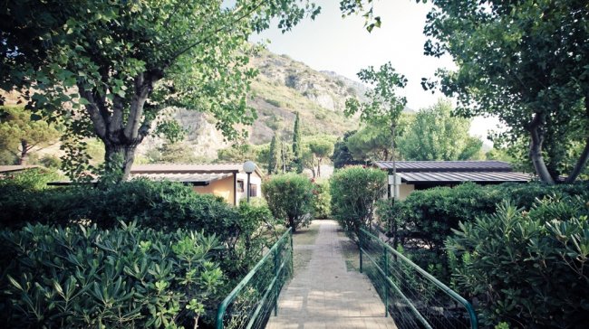 Sentiero tra alberi e bungalow.